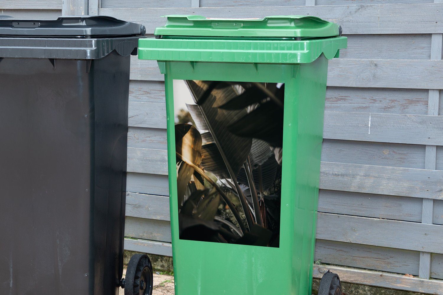 Mülltonne, Sticker, Pflanzen - - Container, Abfalbehälter Mülleimer-aufkleber, MuchoWow Tropisch Blätter St), (1 Wandsticker