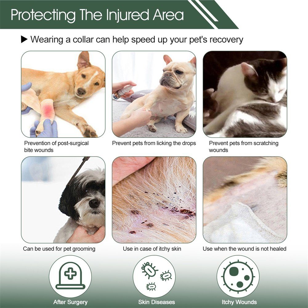 Grün Katzen-Abwehrgürtel -Schutzkragen, einstellbare PET Rutaqian Hundeschützer