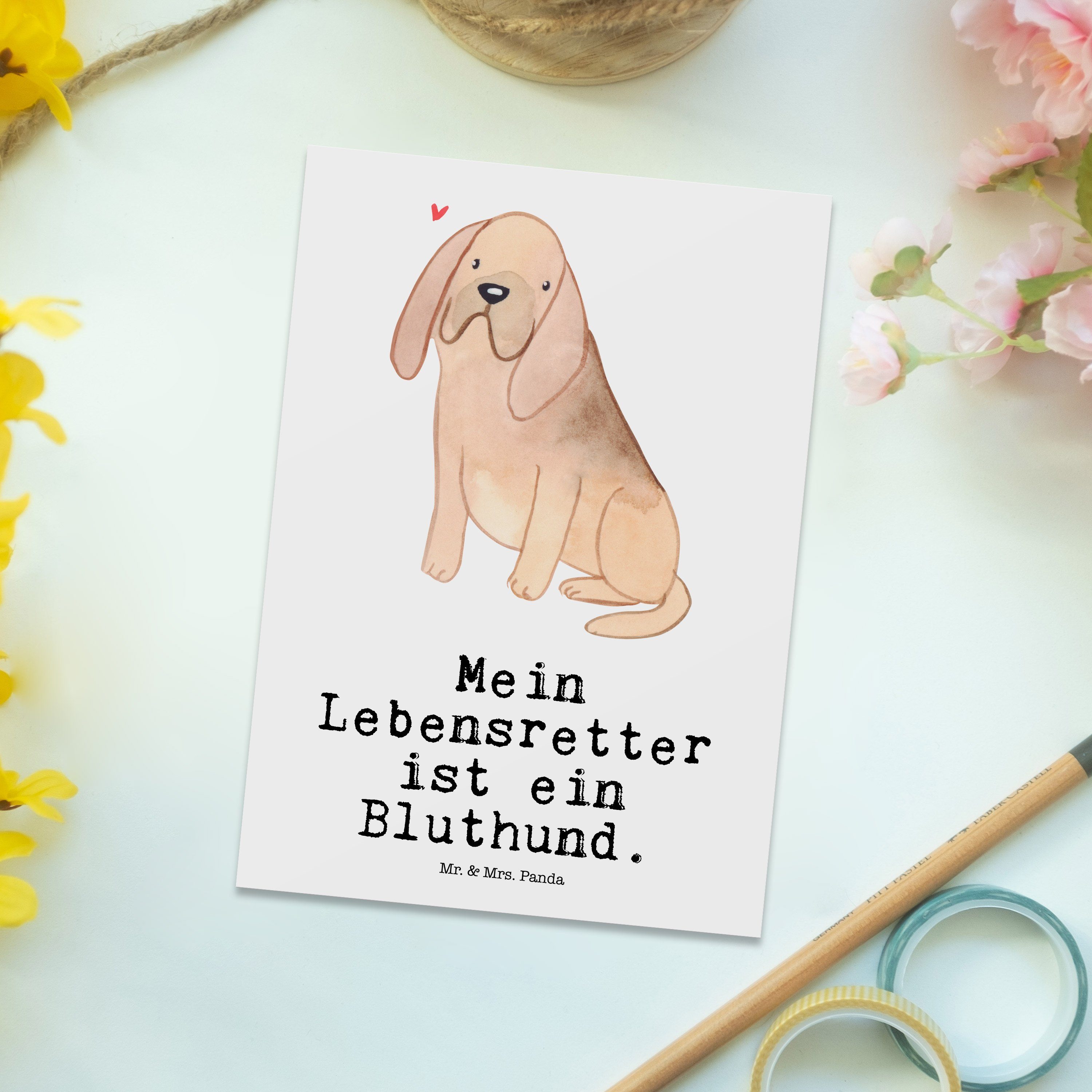 Mrs. Chien Bloodhound Geschenk, Panda Postkarte Saint Lebensretter Hubert, Dan - & de Mr. Weiß -