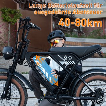 RCB E-Bike für Erwachsene, 7-Gang, 20" Mountain Elektrofahrrad, 250W, 48V 15AH, 7 Gang, Heckmotor