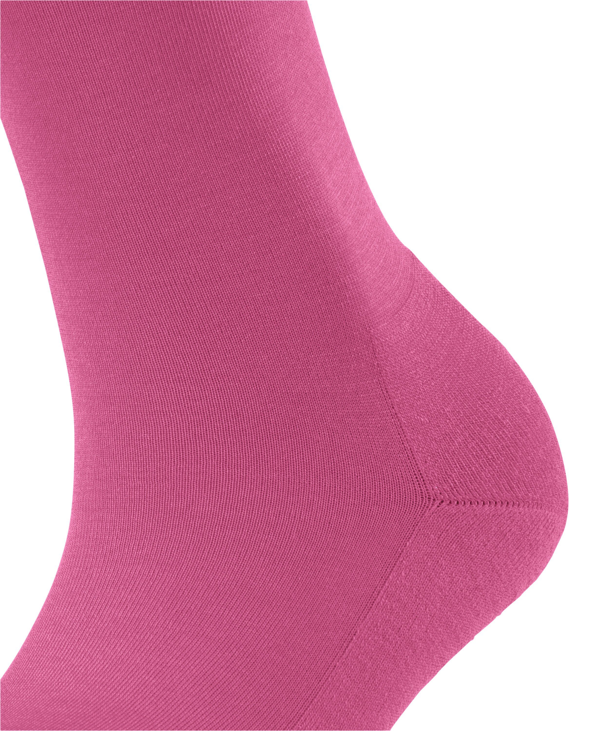 (1-Paar) Socken ClimaWool (8462) pink FALKE