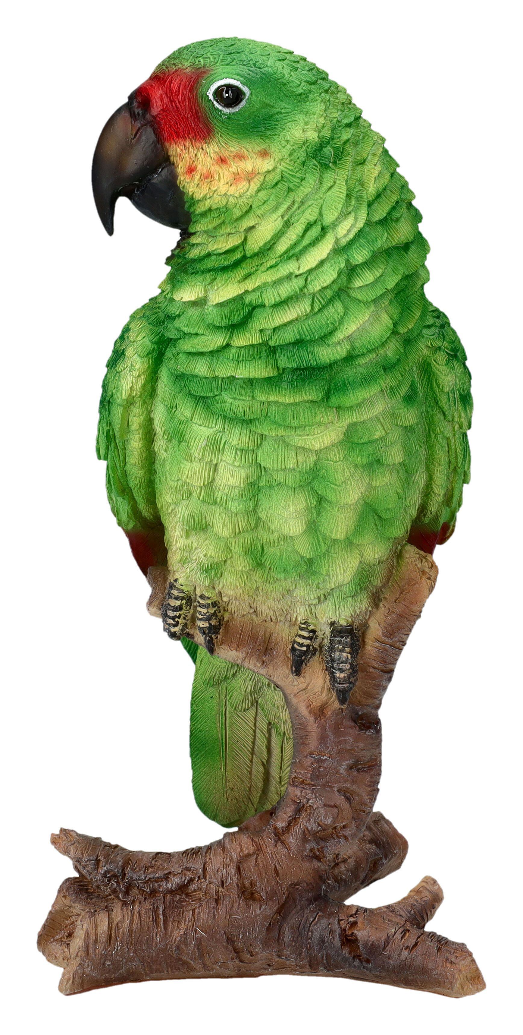 Figuren Shop GmbH Gartenfigur Papagei Gartenfigur – Grünsittich Deko Statue 22,5 cm von HotAnt