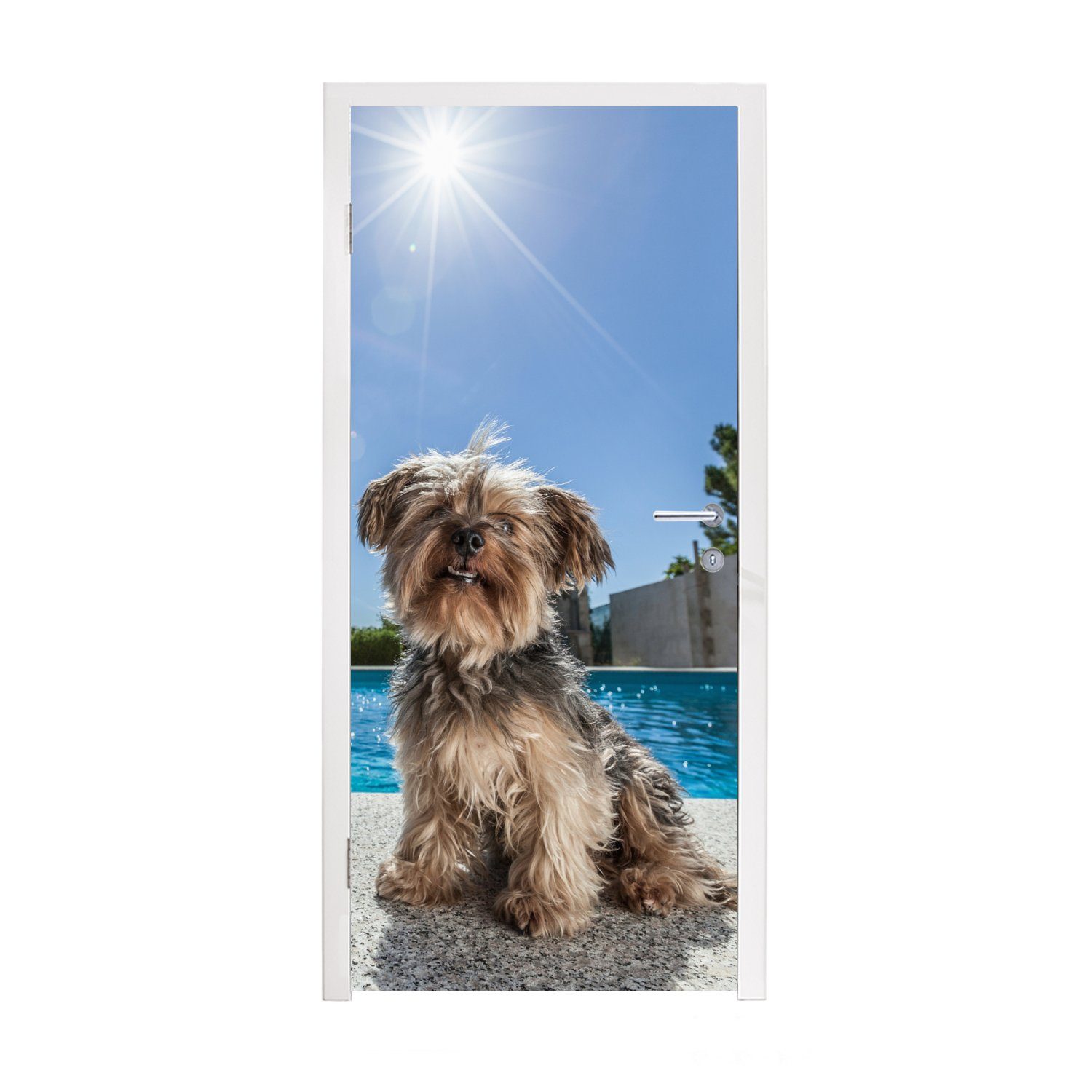MuchoWow Türtapete Yorkshire Terrier an einem Pool an einem sonnigen Tag, Matt, bedruckt, (1 St), Fototapete für Tür, Türaufkleber, 75x205 cm
