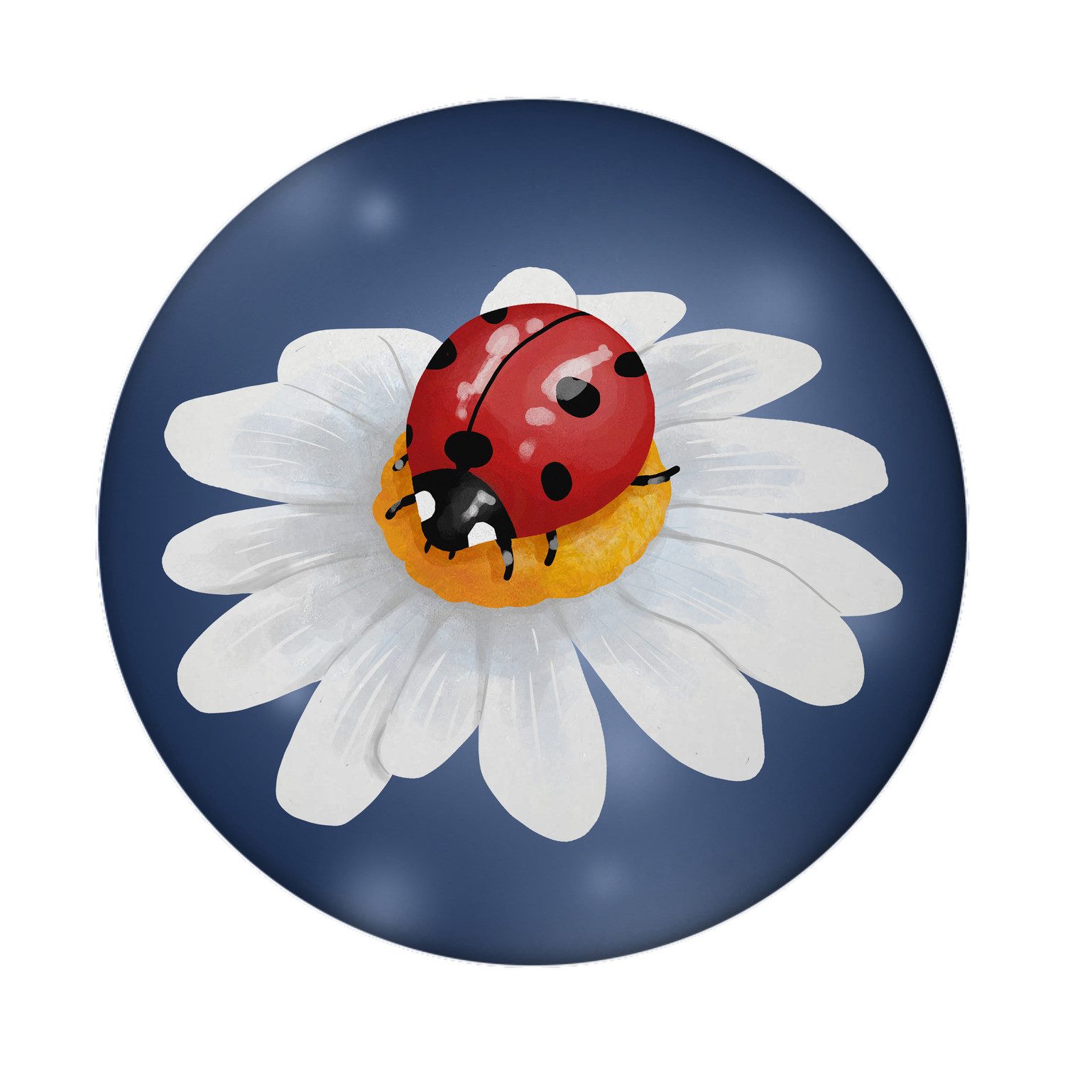speecheese Magnet Marienkäfer Glücksbringer Magnet rund mit Flaschenöffner rund