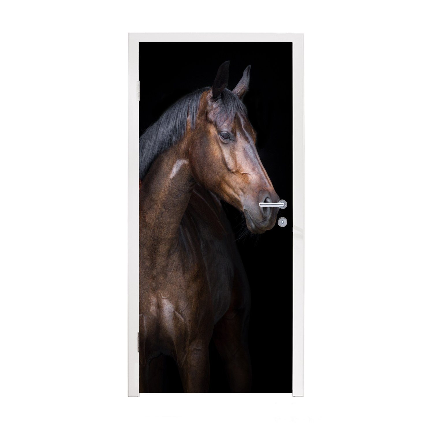 MuchoWow Türtapete Pferde - Tiere - Porträt - Braun, Matt, bedruckt, (1 St), Selbstklebende Tapete, Folie für Möbel, 75x205 cm