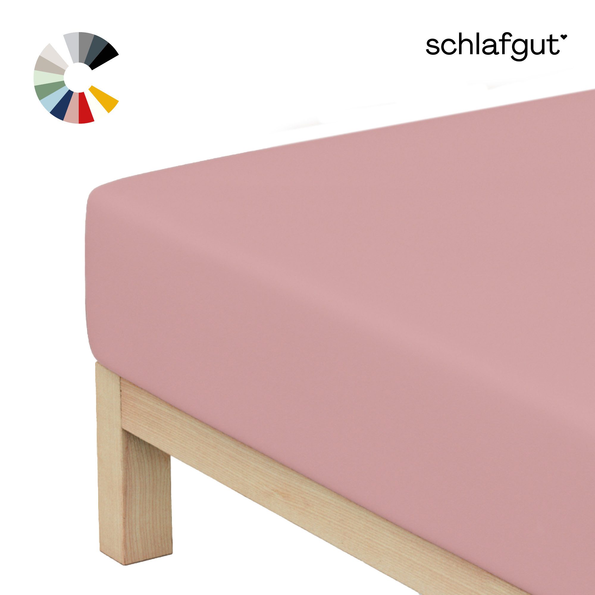 Schlafgut Spannbettlaken Basic Cotton Bettlaken, 160 g/m², 100% Baumwolle, Spannbetttuch, Jersey, Gummizug: rundum, (1 Stück), Spannbettlaken bis 20 cm Matratzenhöhe, bügelfrei und pflegeleicht