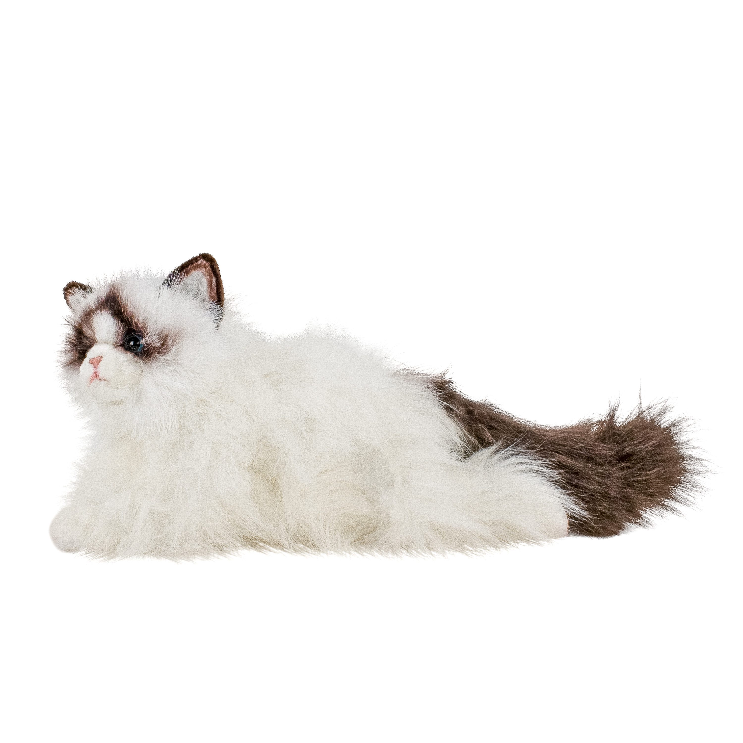 Teddys Rothenburg Kuscheltier Katze Ragdoll weiß/schwarz 35 cm Plüschkatze