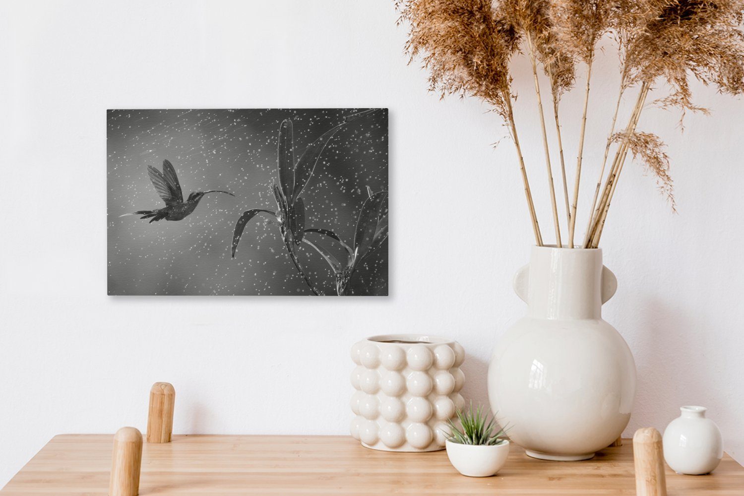 OneMillionCanvasses® Leinwandbild Aufhängefertig, weiß, Costa von cm Regen St), in Rica Kolibri im der (1 30x20 und in Wanddeko, schwarz Leinwandbilder, Wandbild Natur