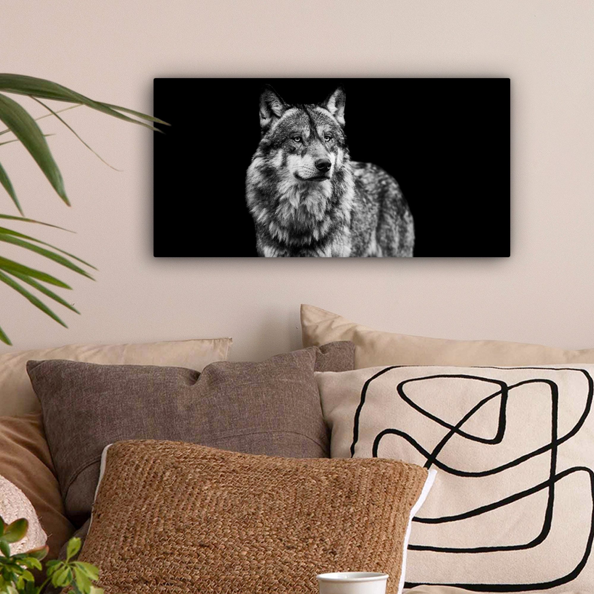 OneMillionCanvasses® Leinwandbild Panorama Wolf - Tiere günstig online kaufen