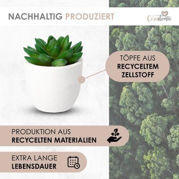Kunstpflanze Künstliche Pflanzen im Topf Mini Set Dekoration Modern Wohnzimmer Sukkulente, Coradoma