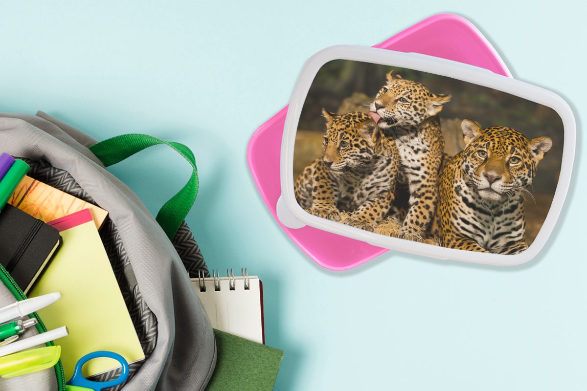 - Leopard (2-tlg), - Tiere Kunststoff, Natur, Wilde Kinder, Erwachsene, für Snackbox, MuchoWow Brotdose Brotbox Mädchen, Lunchbox Kunststoff rosa