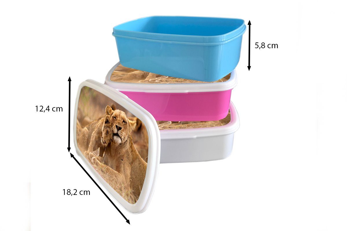 Snackbox, MuchoWow Wilde - Lunchbox Kinder, Löwe rosa Kunststoff, Jungtier, - Brotbox Brotdose (2-tlg), für Erwachsene, Mädchen, Kunststoff Tiere