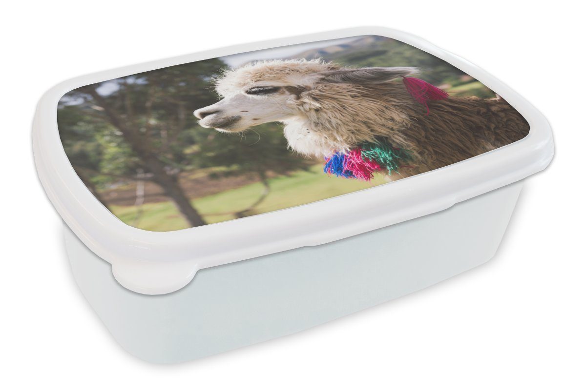 Mädchen für weiß für Alpaka Brotbox Natur Kunststoff, und - Kinder - und Lunchbox Erwachsene, Jungs Wolle, Brotdose, (2-tlg), MuchoWow