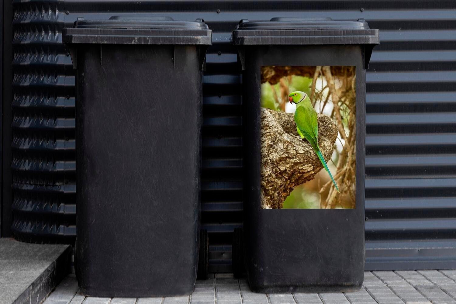 schöne einem Container, Mülleimer-aufkleber, Alexandersittichs Fell Sticker, sitzenden MuchoWow grüne Mülltonne, St), Wandsticker Das eines auf (1 Abfalbehälter Ast