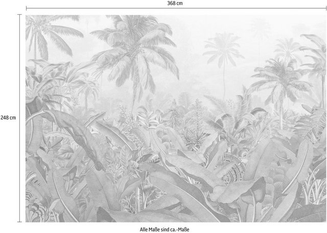 Komar Vliestapete »Amazonia 4er«, glatt, naturalistisch-Otto