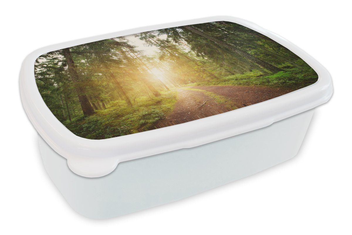 MuchoWow Lunchbox Wald - Baum - Sonne, Kunststoff, (2-tlg), Brotbox für Kinder und Erwachsene, Brotdose, für Jungs und Mädchen weiß
