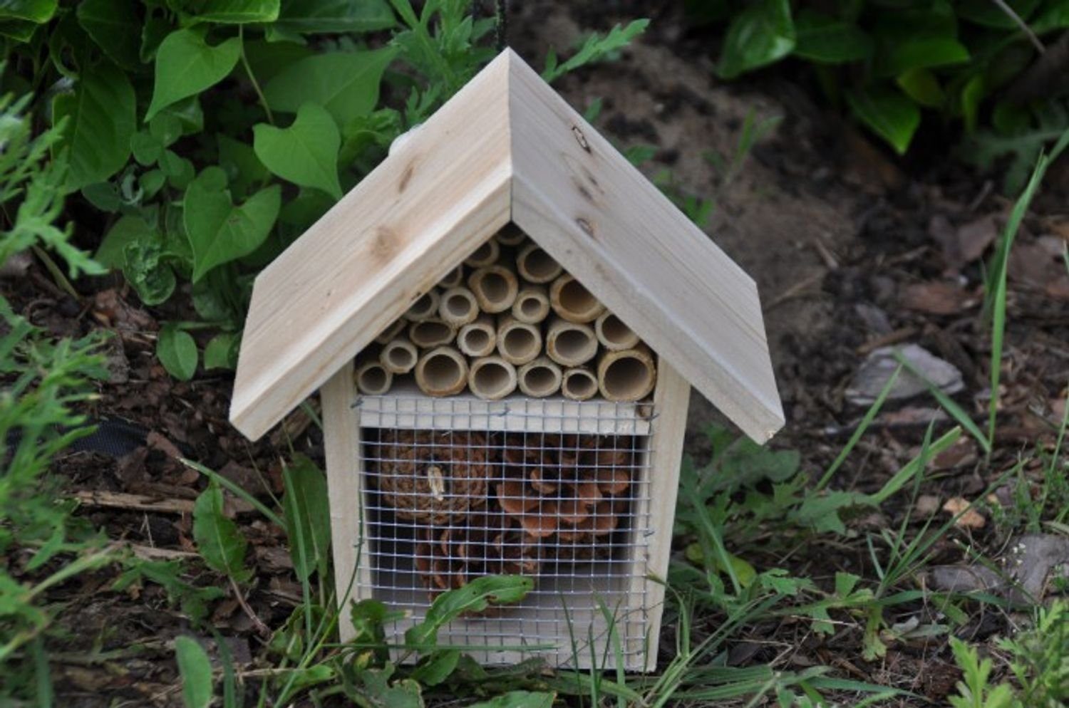 Insektenhotel Grüner Jan Insektenhotel