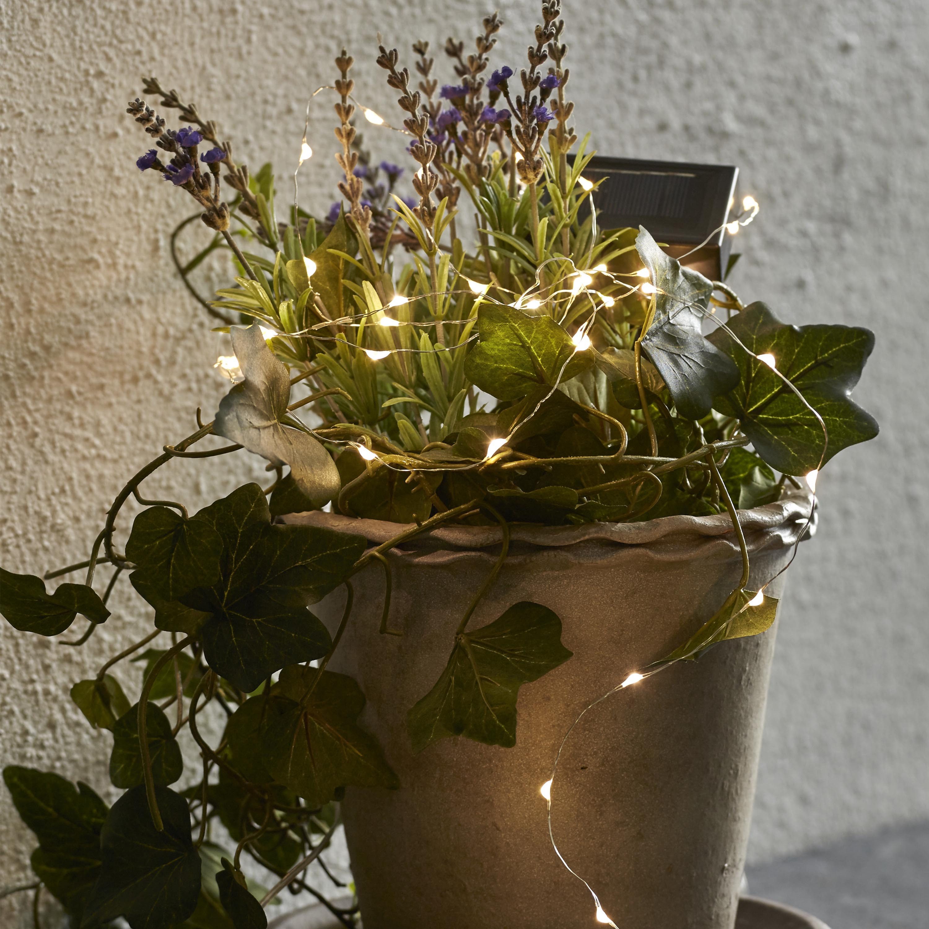 STAR TRADING LED-Lichterkette LED Solar Lichterkette günstig online kaufen