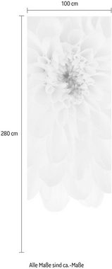 Komar Vliestapete Beautiful, (1 St), 100x280 cm (Breite x Höhe), Vliestapete, 100 cm Bahnbreite