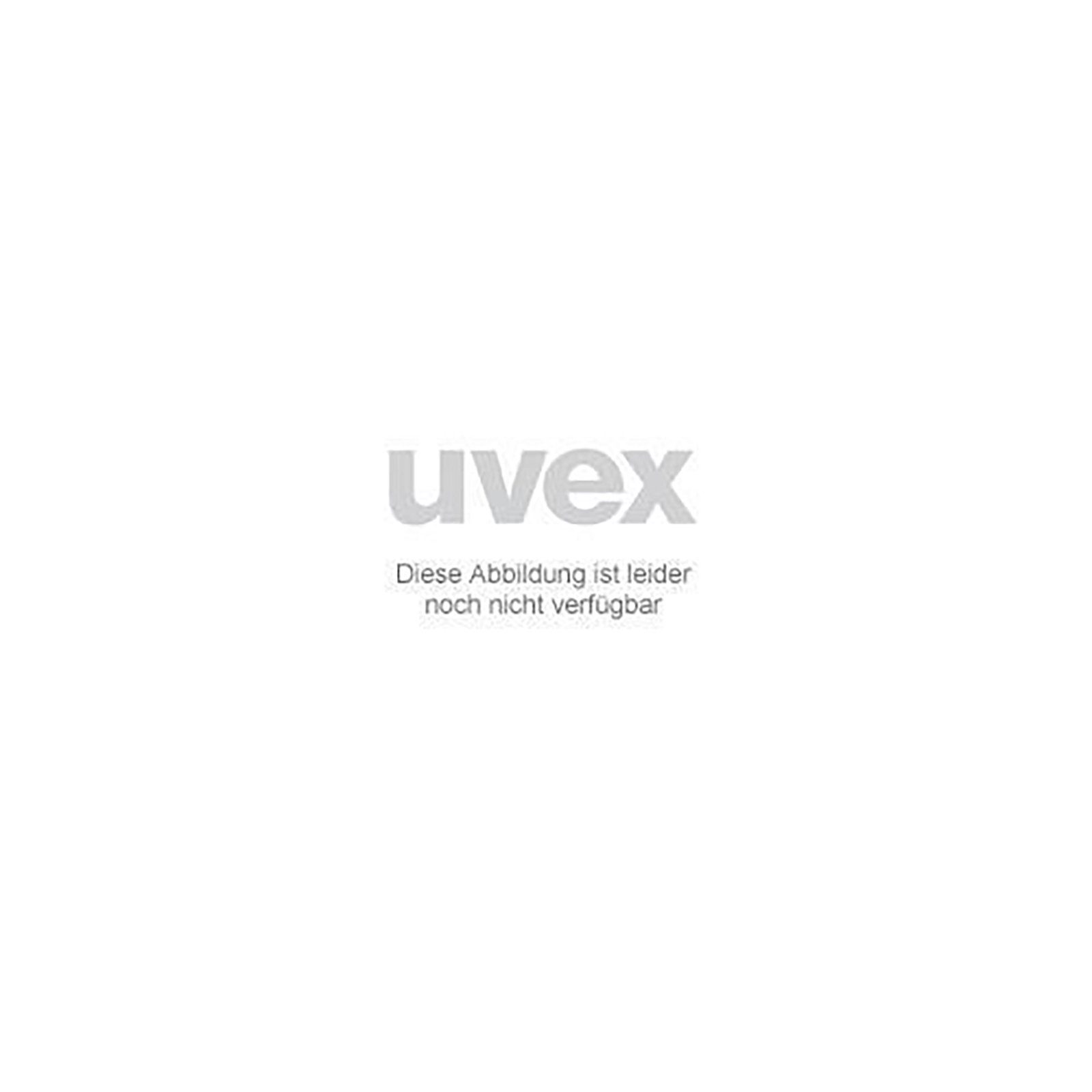 Uvex Arbeitsschutzbrille Ersatzscheibe 9104084 grau Schweißerschutz 4