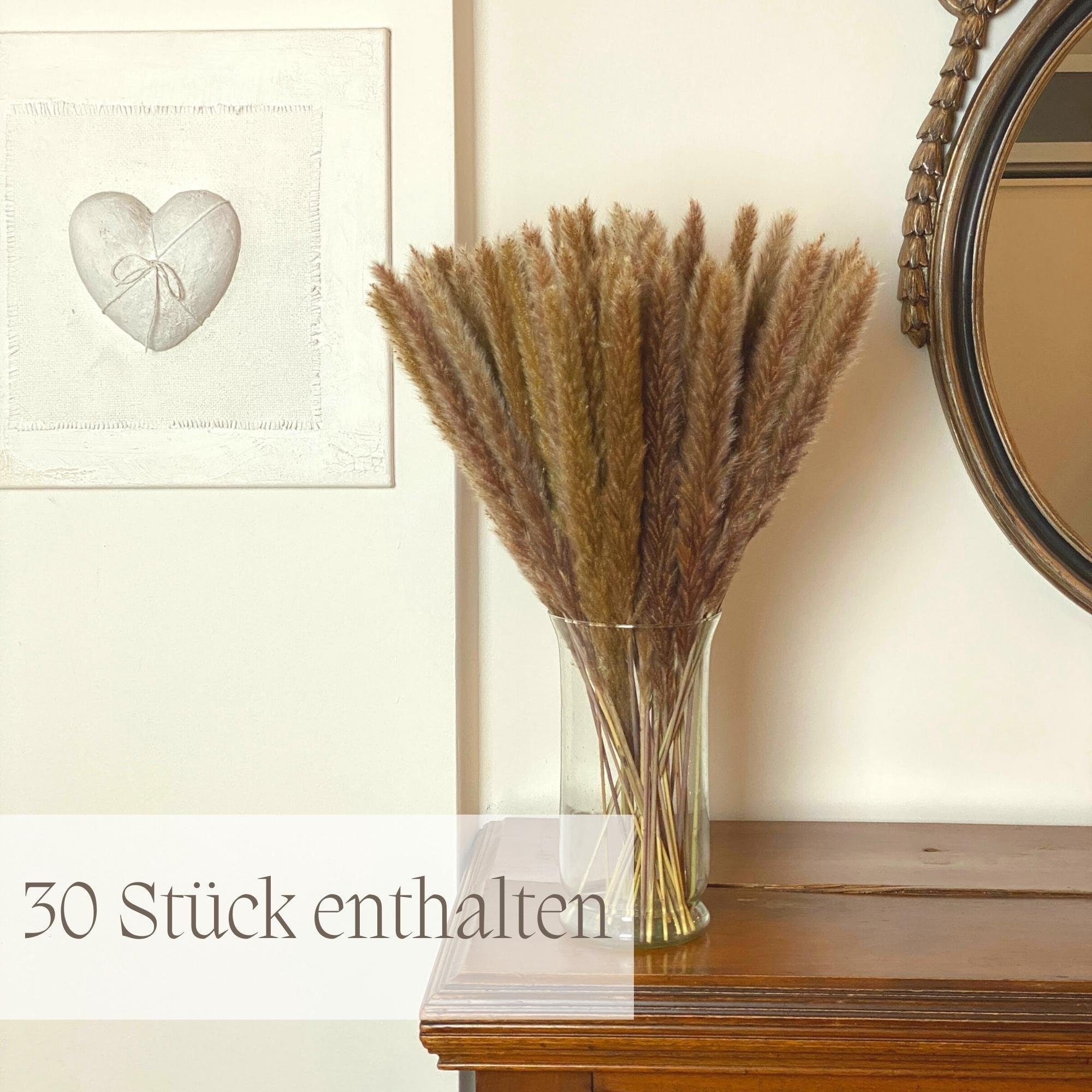 Trockenblume Pampasgras Deko braun 65-70cm lang Trockenblumen groß Blumen, günstig online kaufen