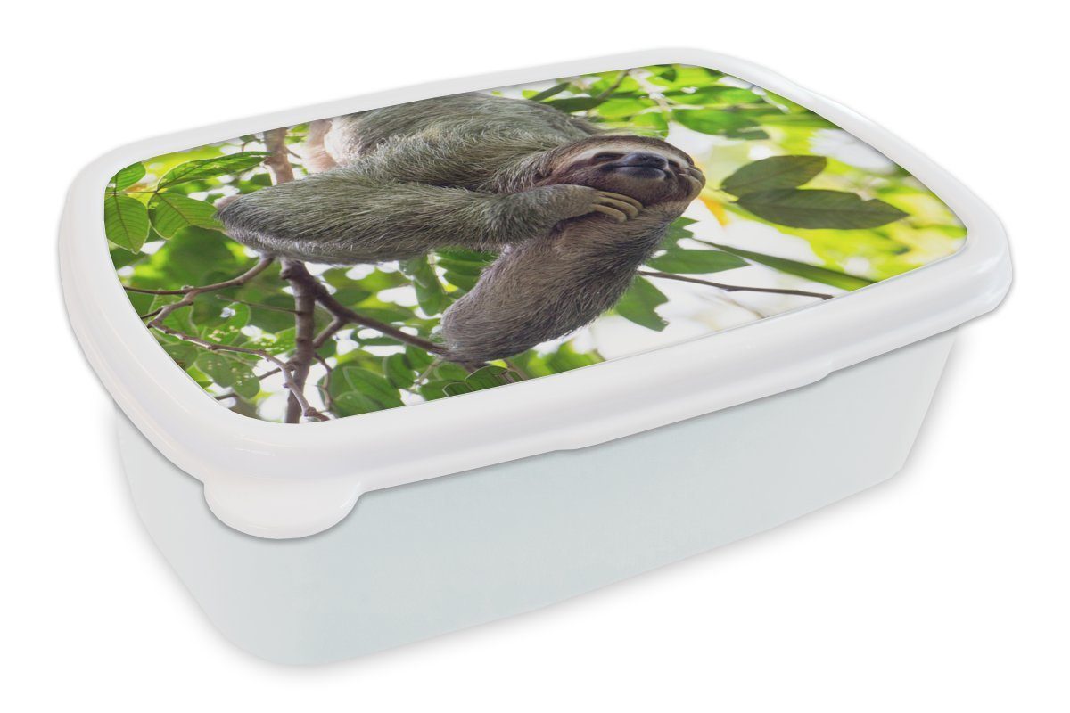Lunchbox Brotdose, für Kinder Mädchen weiß Erwachsene, den und Kunststoff, Brotbox (2-tlg), hängt für in grünen MuchoWow Faultier Bäumen, und Jungs lächelndes Ein