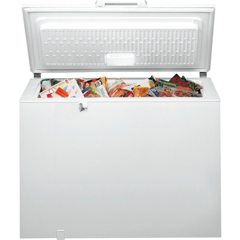 BAUKNECHT Gefriertruhe GTE 822