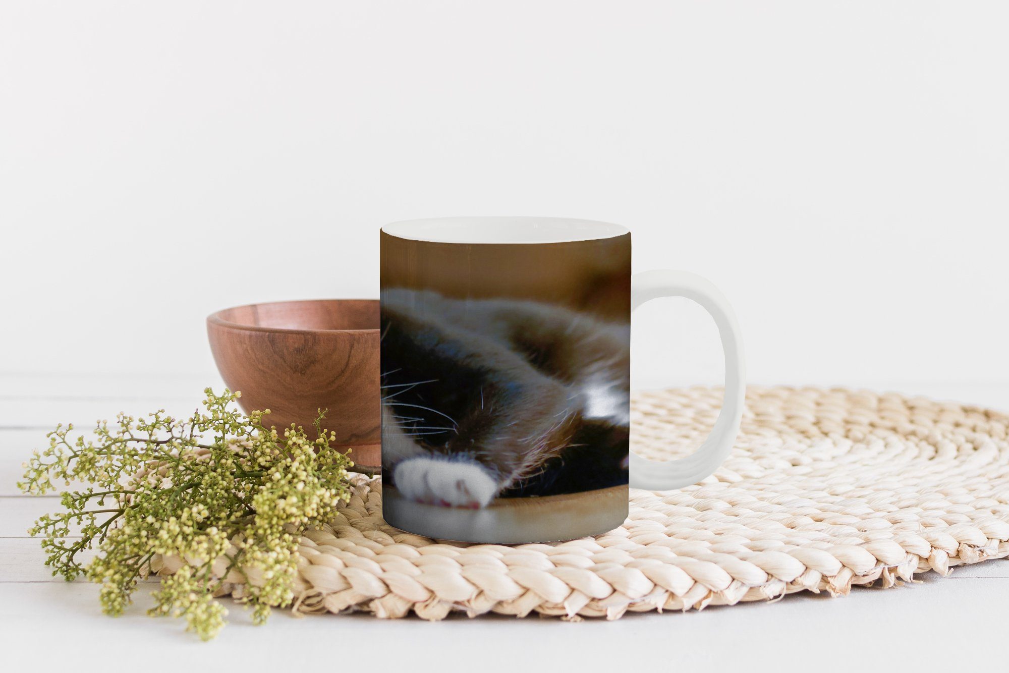- Teetasse, Teetasse, Katzen Boden Keramik, MuchoWow Tasse Becher, Geschenk - Kaffeetassen, Schwarz,