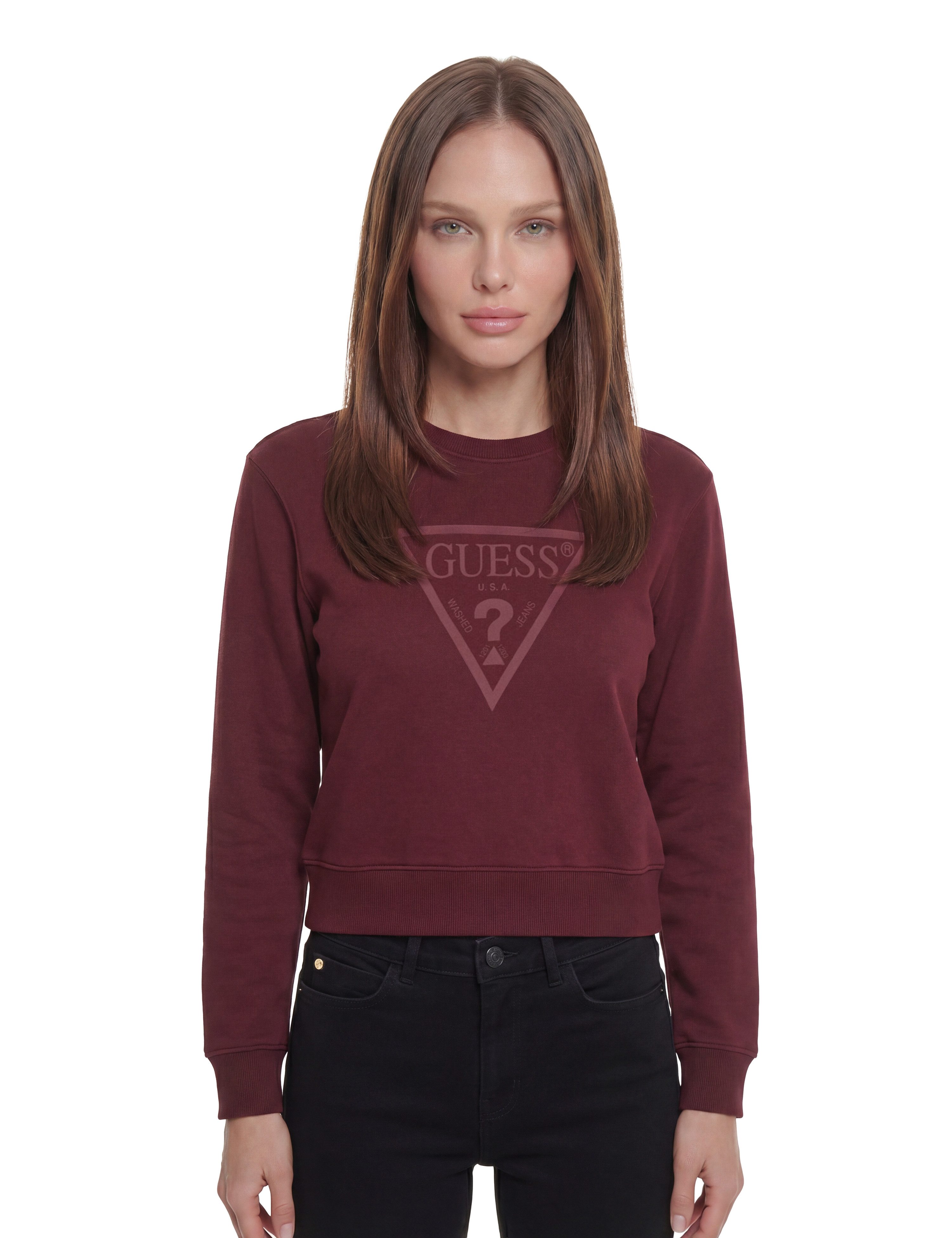 Guess Sweatshirt NEW CN BASIC TRIANGLE mit tonalem Logodruck, Baumwollmix