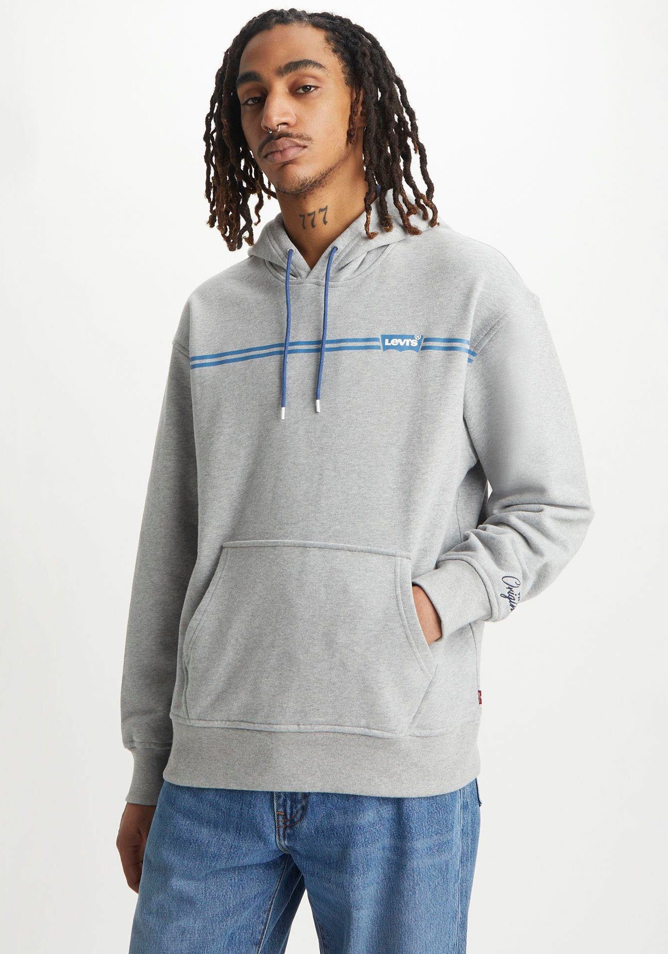 Levi's® Hoodie RELAXED GRAPHIC grau