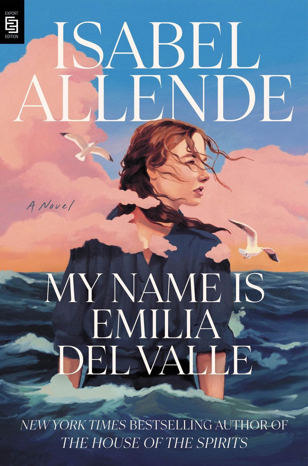 Belletristik My Name Is Emilia del Valle A Novel Isabel Allende