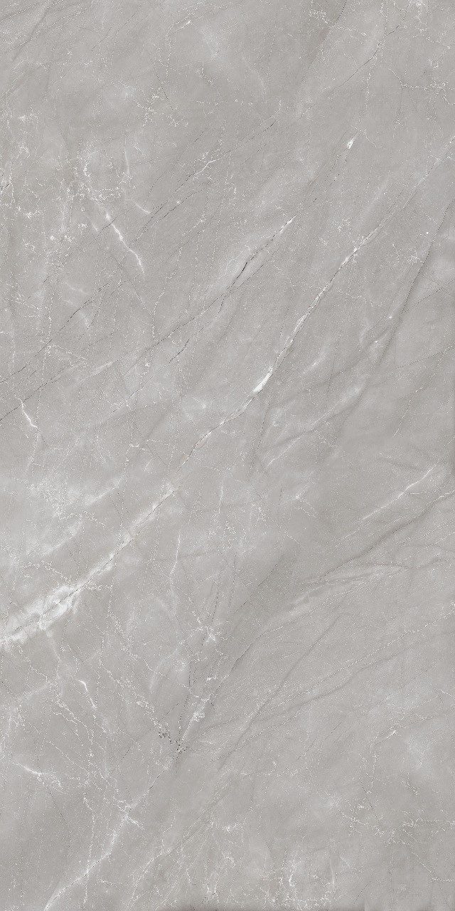 Wandfliese 1 Paket (1,44 m) Плитка VENEZIA GREY (60 × 120 cm), poliert, grau, Küche Wand Bad Flur Wandfliese Duschwand Steinoptik