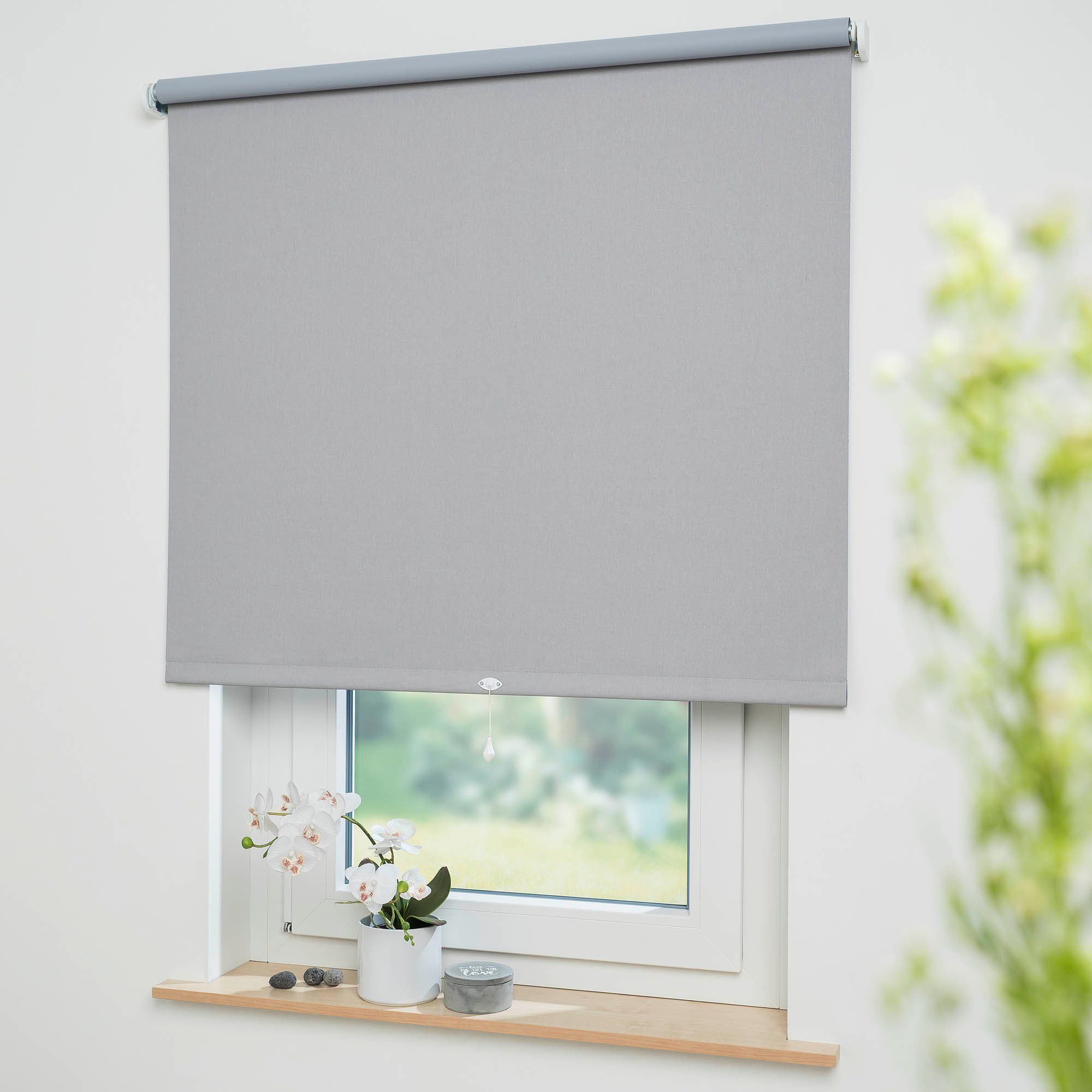Springrollo Uni, Liedeco, verdunkelnd, mit Bohren, günstig online kaufen