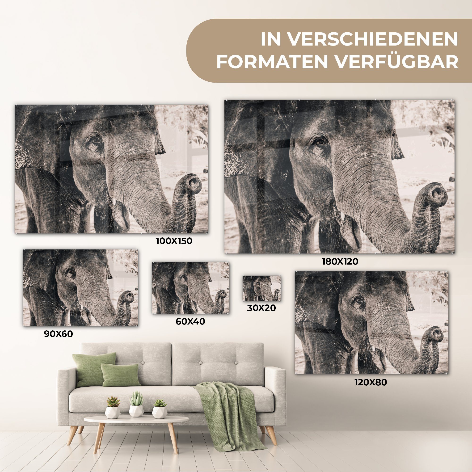 (1 Schwarz Schlafzimmer Acrylglasbild Porträt St), Acrylglasbilder Wohnzimmer Weiß, MuchoWow - & Elefant - -