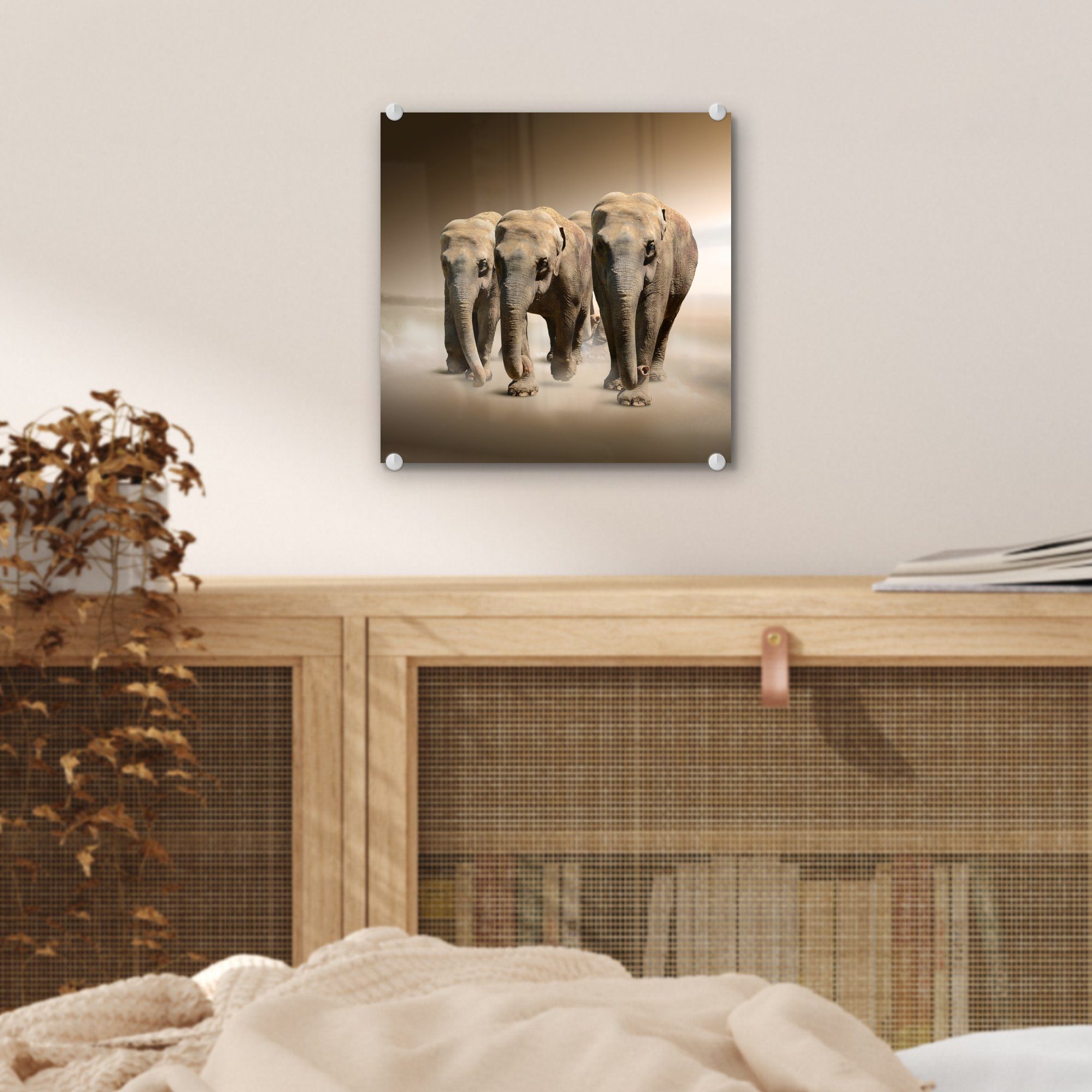 auf - Acrylglasbild - St), Foto Wandbild - - Nebel Bilder Glas Wanddekoration Glasbilder (1 Elefant Landschaft, MuchoWow Glas auf -
