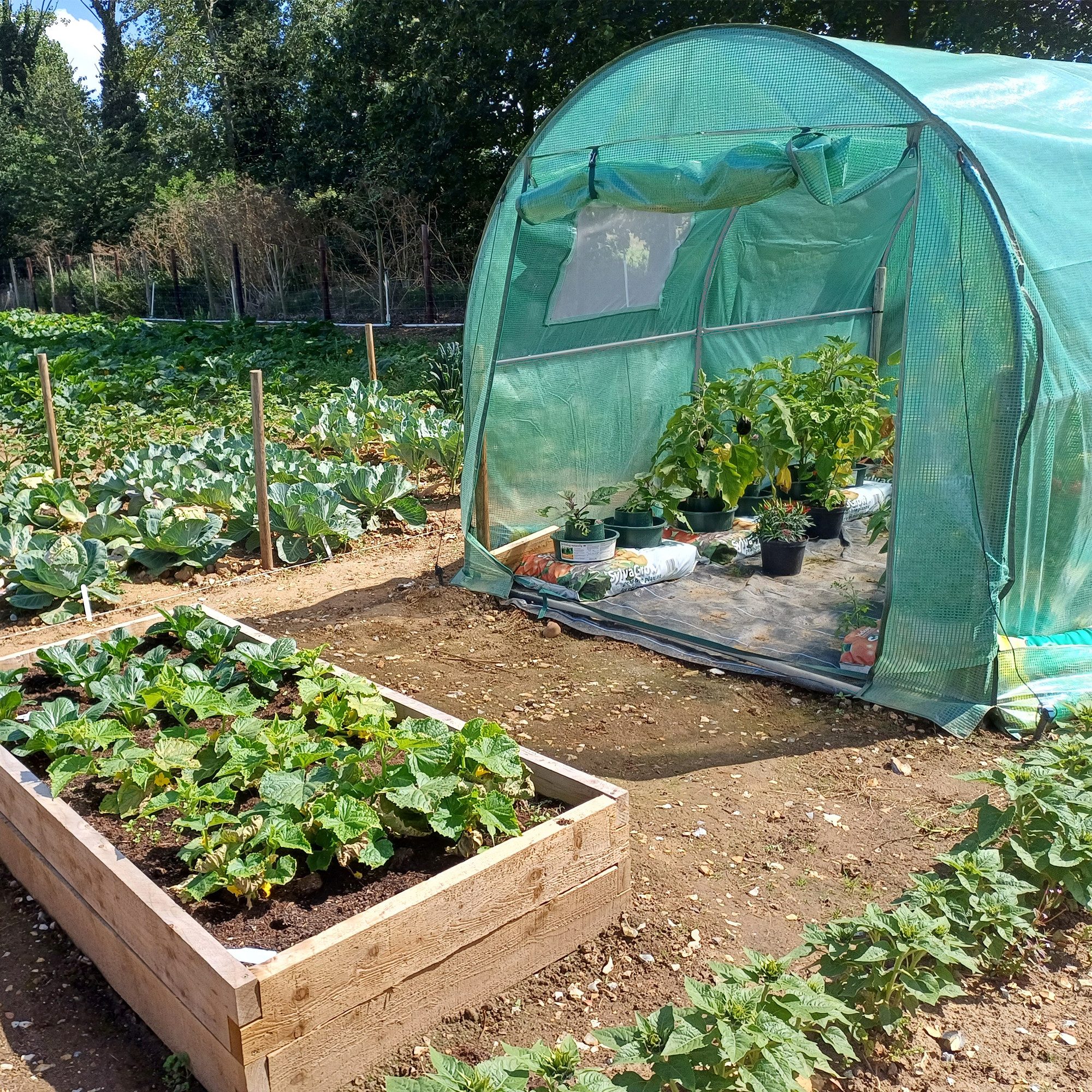 NATIV Foliengewächshaus Tomatenhaus mit...