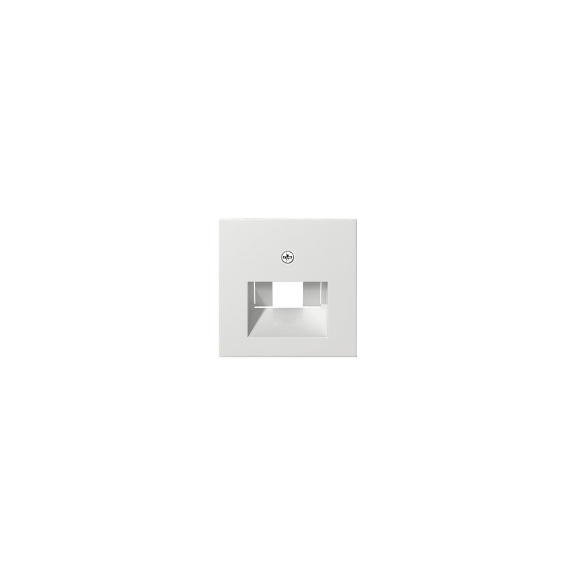 GIRA Gira Zentralplatte UAE/IAE rws System55 027027 Installationskabel