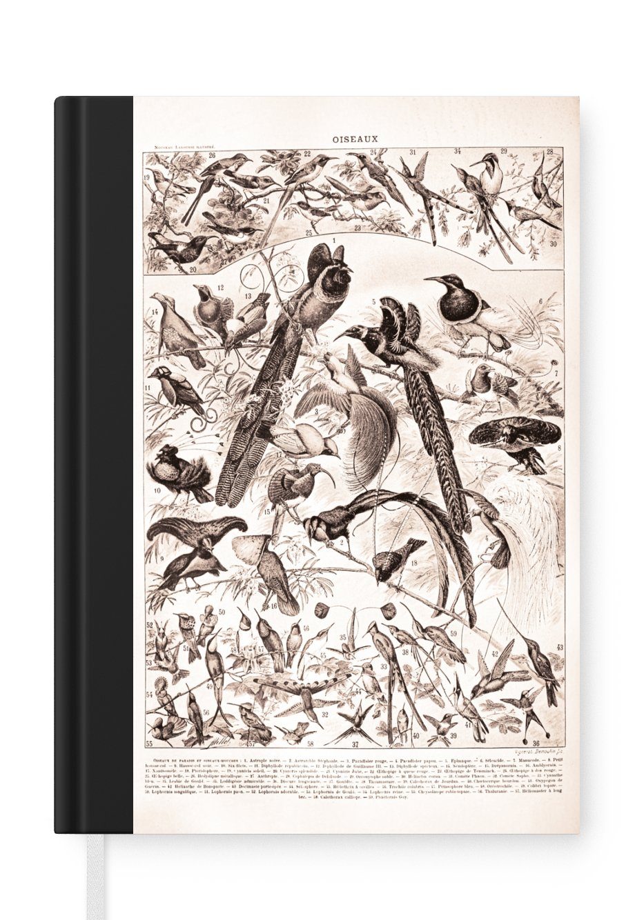 MuchoWow Notizbuch Vogel - Tiere - Schwarz - Weiß, Journal, Merkzettel, Tagebuch, Notizheft, A5, 98 Seiten, Haushaltsbuch