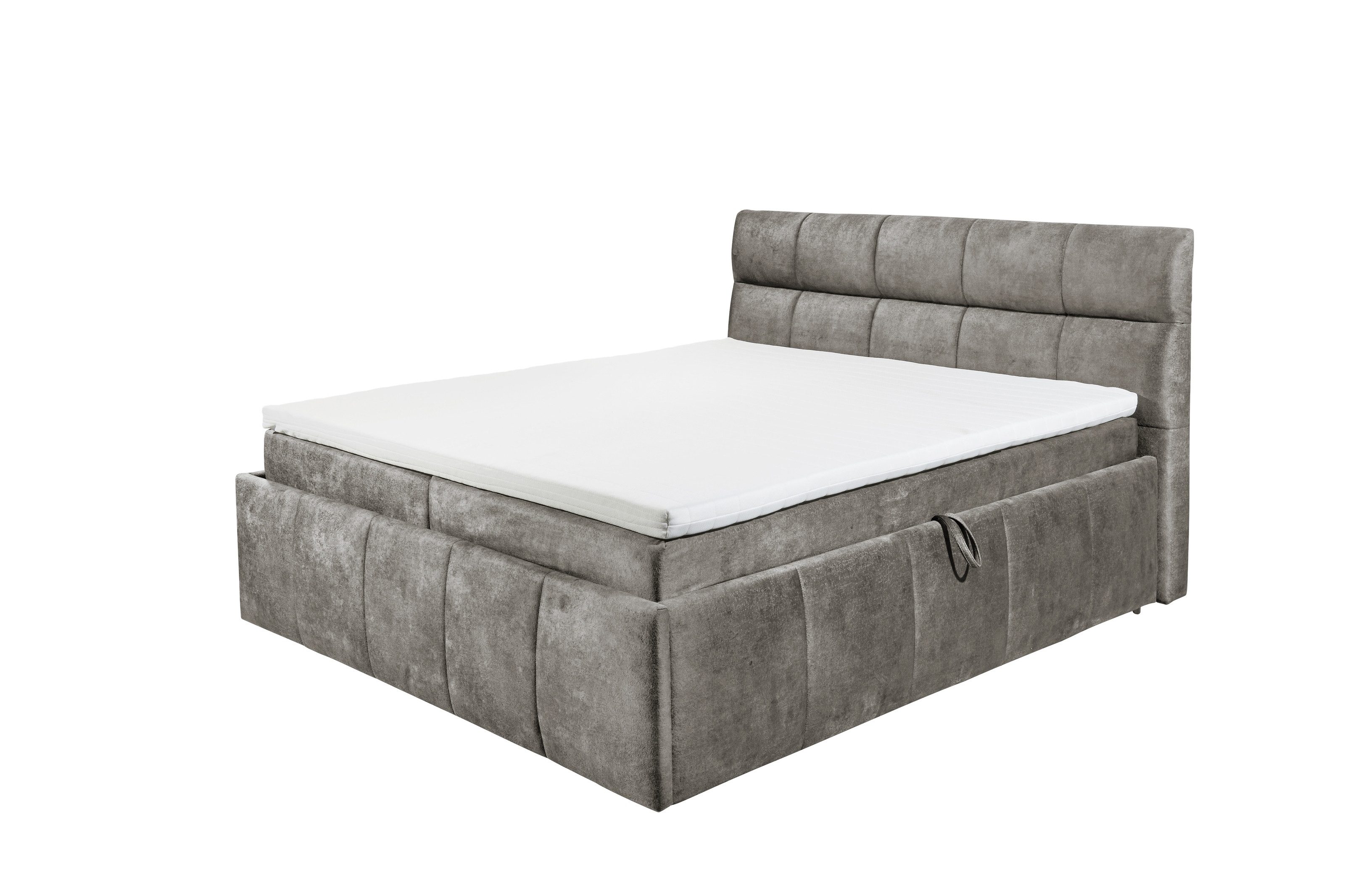 freiraum Boxbett AVIDANO 6, 180x200 cm Liegefläche, Bezug in stone - 203x123x213cm (BxHxT)