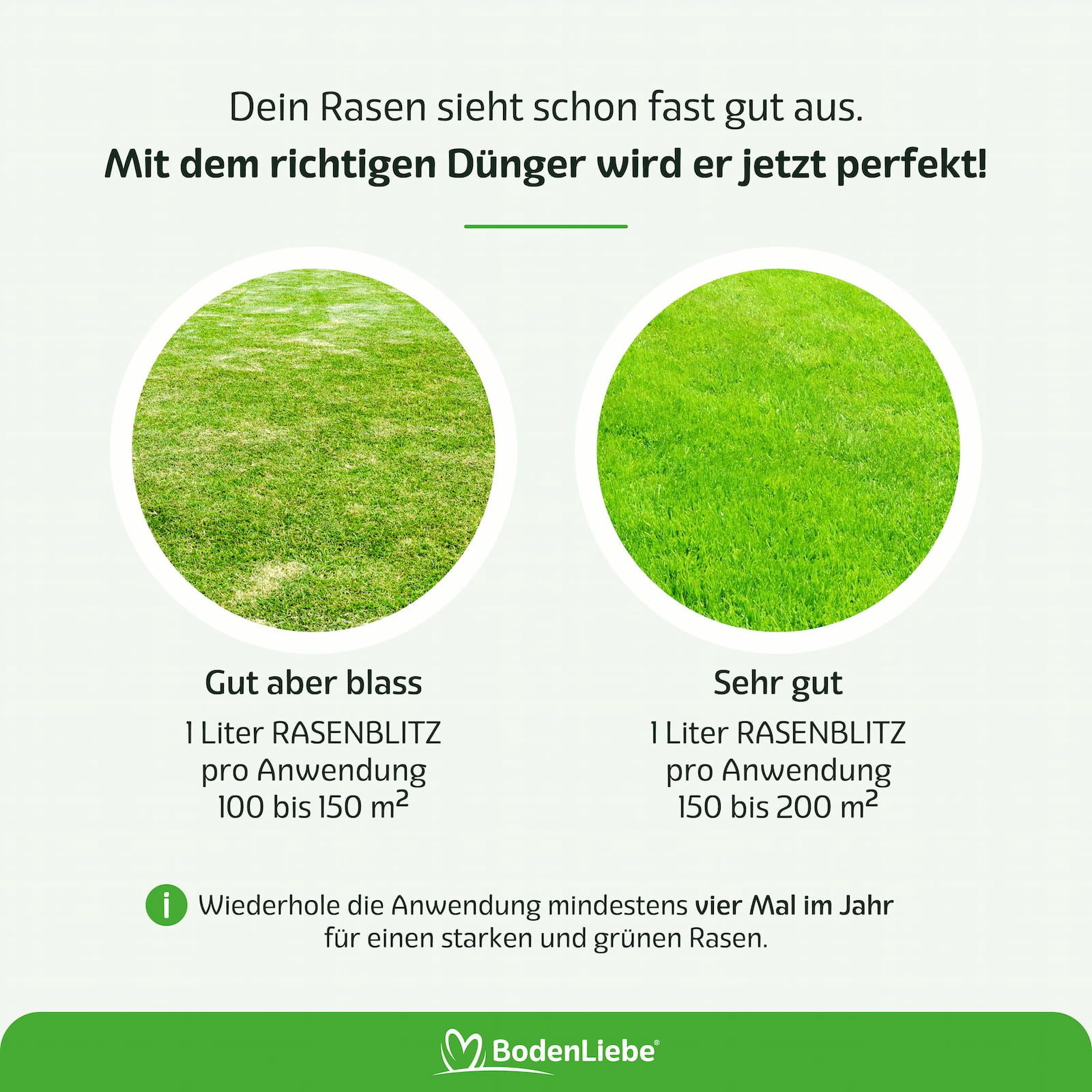 RASENBLITZ Rasendünger RASENBLITZ Ganzjahresdünger, 1 Liter, 2 Liter, 5 Liter, 10 Liter – Bild 4 von 5