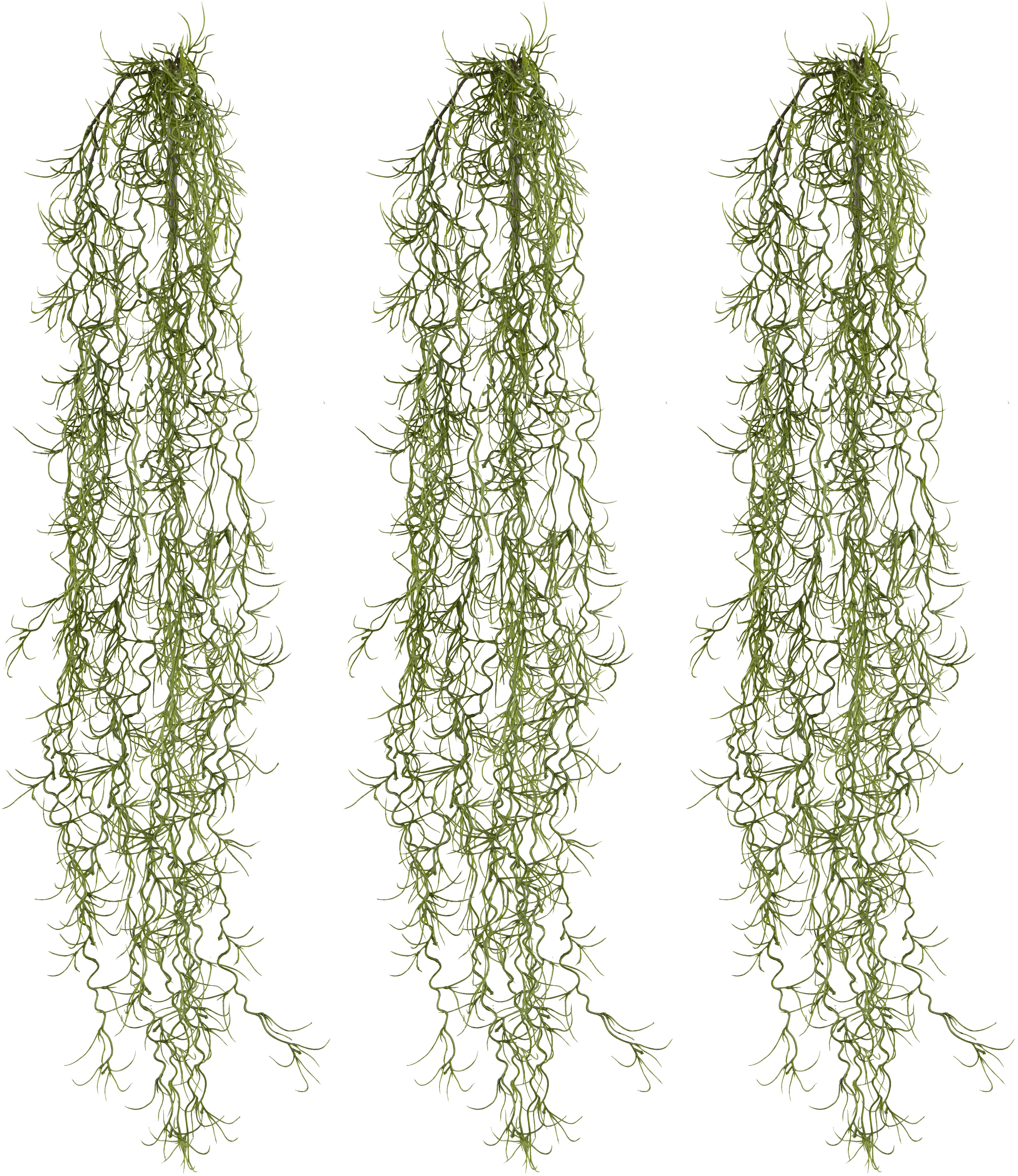 Kunstzweig Hängezweig Tillandsie, Creativ green, Höhe 80 cm, in schöner Grö günstig online kaufen