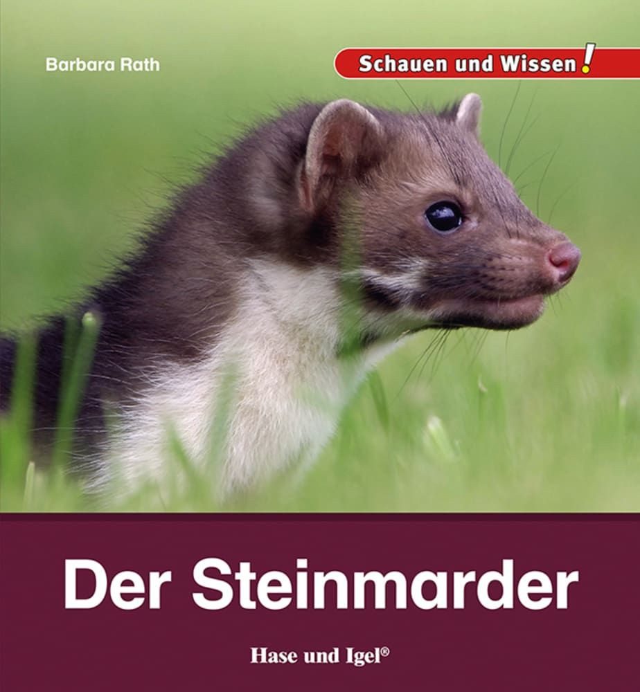 Der Steinmarder Schauen und Wissen! / Barbara Rath, Schauen und Wissen!, X