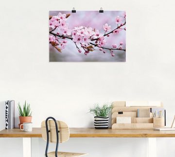 Artland Wandbild Kirschblüten, Blumen (1 St), als Alubild, Outdoorbild, Leinwandbild, Poster, Wandaufkleber