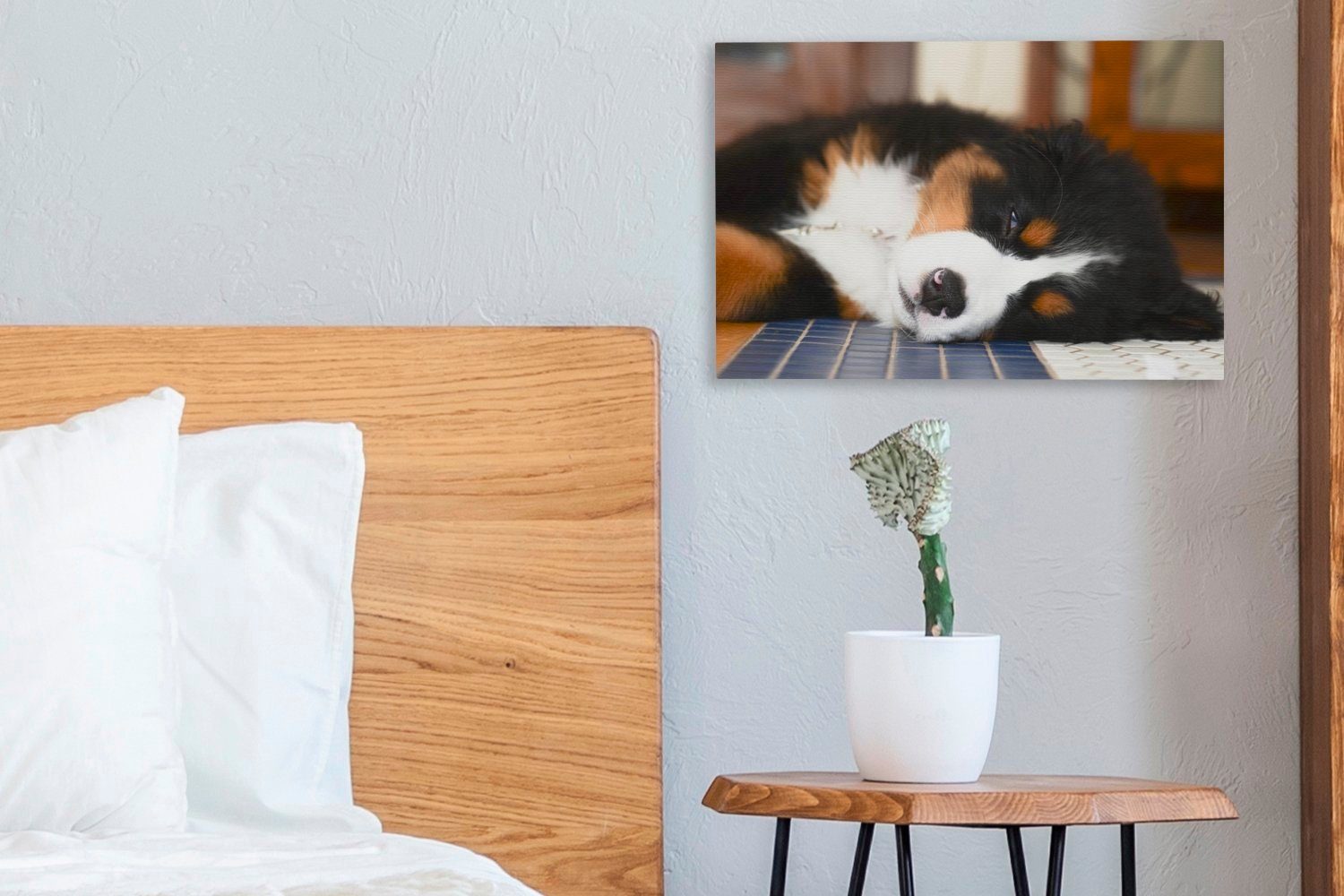 Wandbild schläft Wanddeko, OneMillionCanvasses® Berner (1 cm Leinwandbild Sennenhund Liebenswerter 30x20 St), Leinwandbilder, Aufhängefertig, ein,