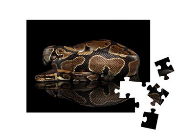 puzzleYOU Puzzle Nahaufnahme einer Königspython, 48 Puzzleteile, puzzleYOU-Kollektionen Pythons