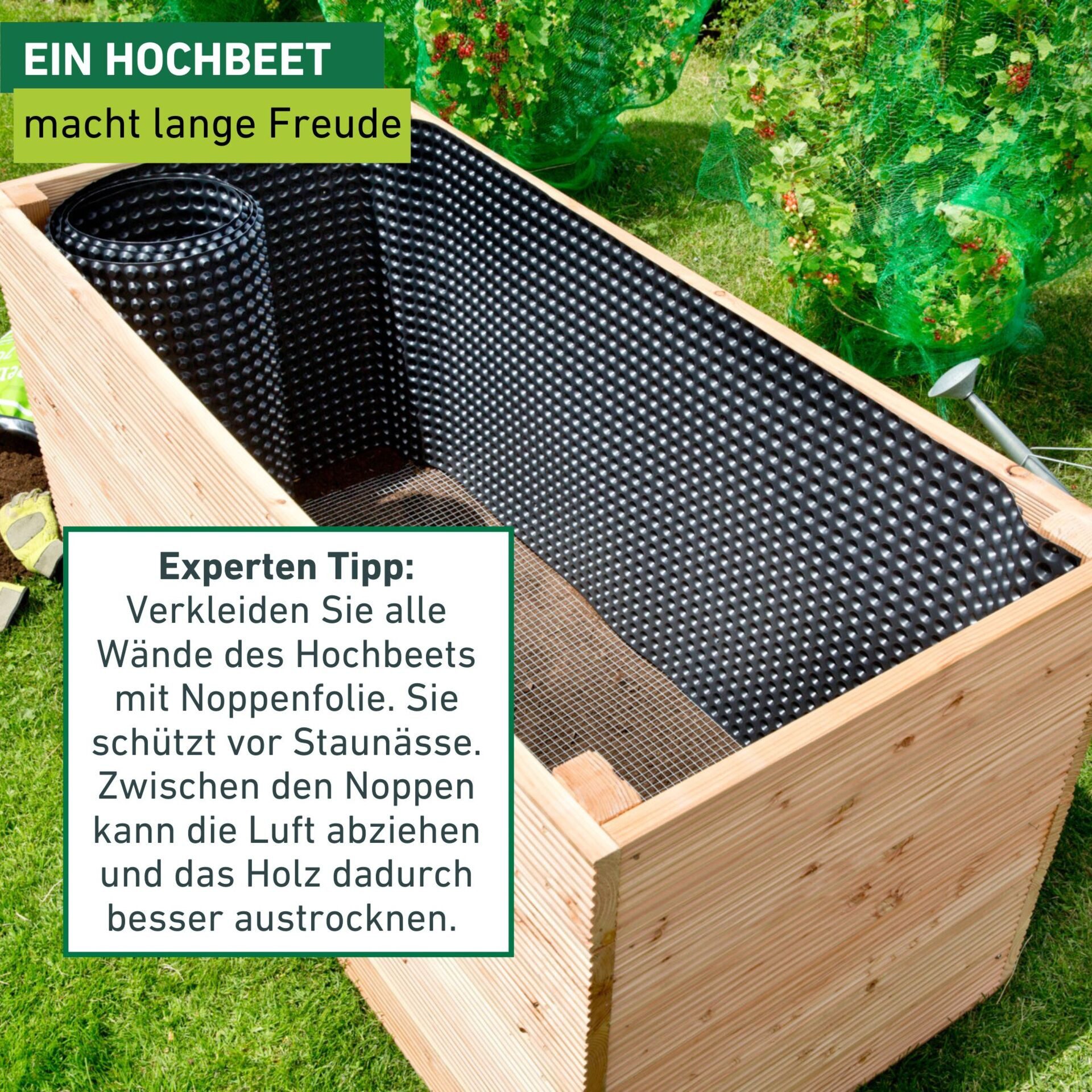 Windhager Hochbeet Befestigungsnägel für Hochbeet Noppenfolie 100 Stk. (100 St), robuste Stahl Dichtnägel für Noppenbahn 3,5 x 30 mm – Bild 4 von 5