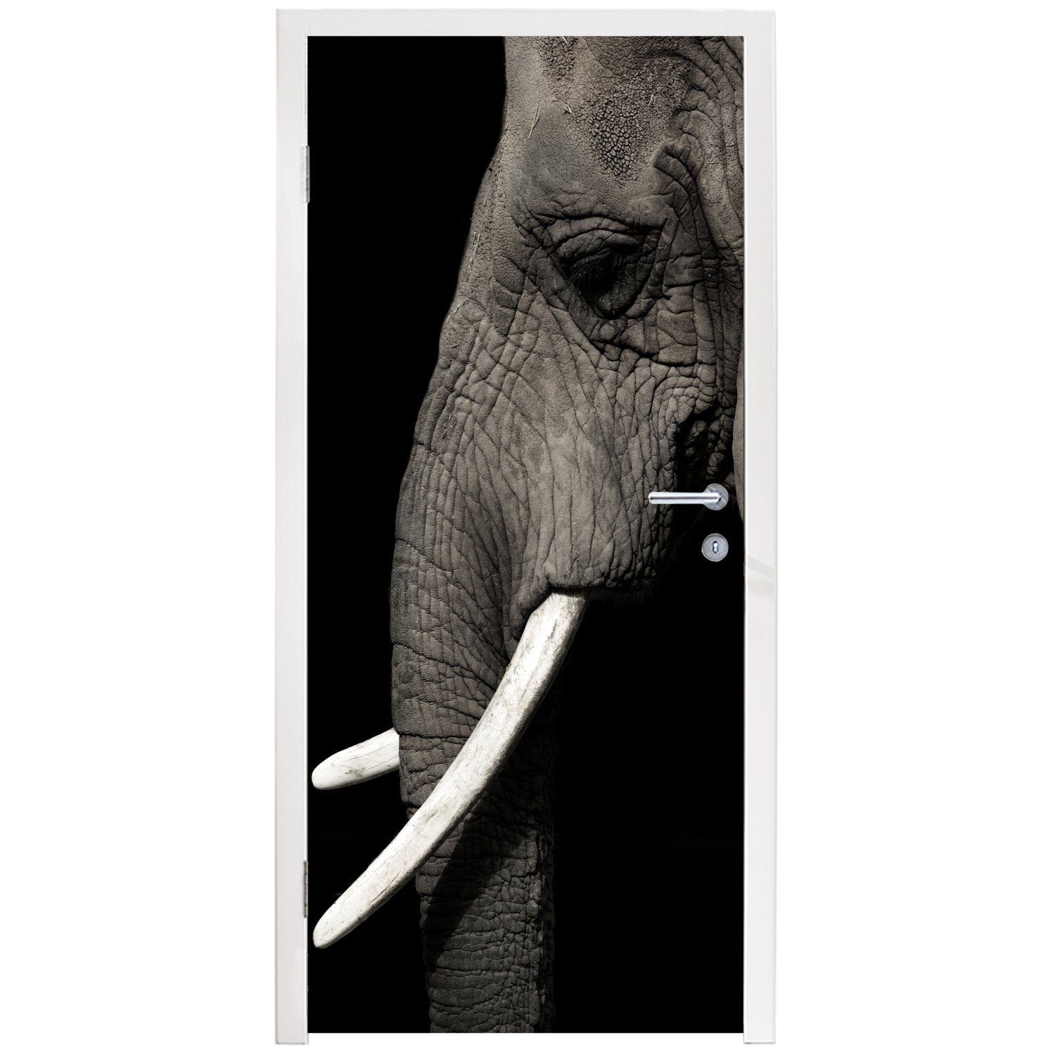 bedruckt, für - cm Fototapete Türtapete Tier Stoßzahn, Türaufkleber, - (1 Tür, MuchoWow 75x205 St), Matt, Elefant