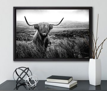 Pixxprint Leinwandbild Highland Rind mit großen Hörnern Steppe, Monochrome, Wanddekoration (1 St), Leinwandbild fertig bespannt, in einem Schattenfugen-Bilderrahmen gefasst, inkl. Zackenaufhänger