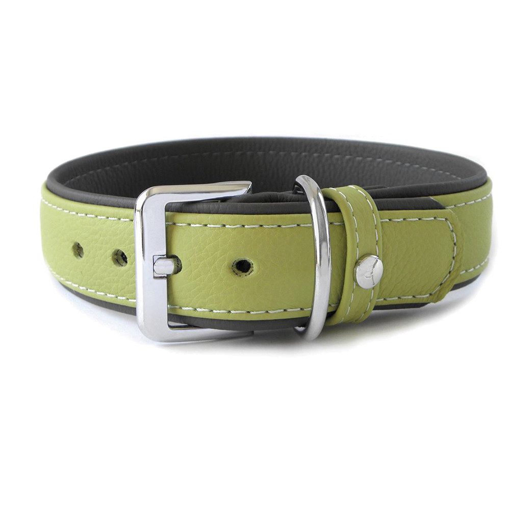 Das Lederband Hunde-Halsband Hundehalsband Amsterdam lime/lava