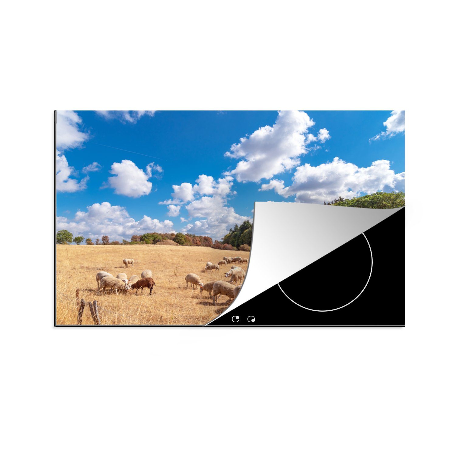 MuchoWow Herdblende-/Abdeckplatte Eine ausgetrocknete Wiese mit Schafen in den Ardennen, Vinyl, (1 tlg), 81x52 cm, Induktionskochfeld Schutz für die küche, Ceranfeldabdeckung